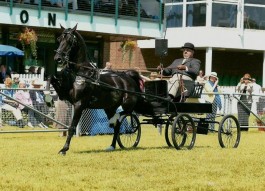 Wentworth Ebony ook kampioen van Engeland