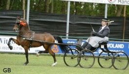 Sunbeam Look at Me (2006, Sunbeam Star Step x Sunbeam Regal)