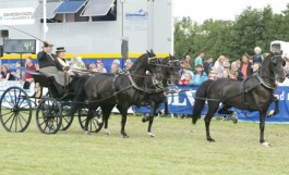 2010