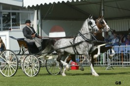 Alfredo en Zilver in tweespan