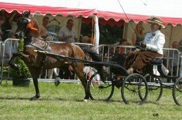 Buitenseizoen geopend met 3 x oranje