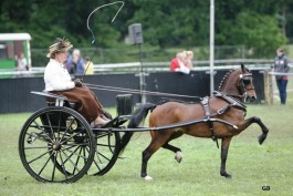 Look at Me tweede in damesklasse