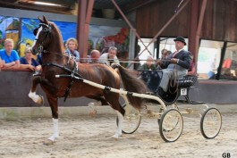 Eebert publiekslieveling in Hulshorst