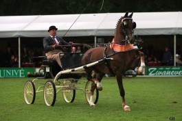 BUSINESS NEDERLANDS KAMPIOEN