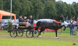 WENTWORTH EBONY VOOR VIJFDE KEER EREKLASSE KAMPIOEN