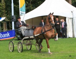 2 x winst in nat Doornspijk