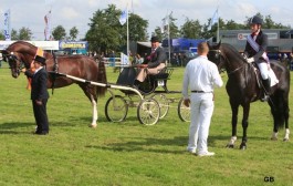 Vader en zoon kampioen in Drogeham