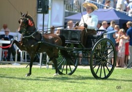 Top dag op top concours