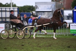 Opnieuw competitiewinst voor Eebert