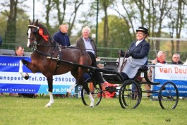 Brookfield My Way (2011, Aghaderg BrookfieldxBrookfield Showgirl