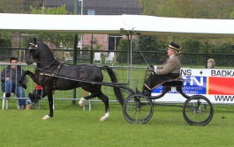 5 x winst in Doornspijk