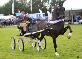 Opnieuw mooie resultaten in Drogeham