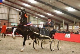 Renvyle Imondro en Bommelstijn's Hubert winnen in Hellendoorn