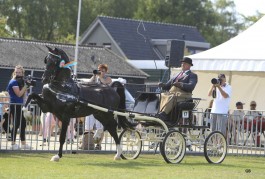 Just Lucky naar 2e bezichtiging in Den Bosch