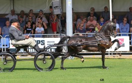 3 overwinningen op prachtig concours Norg