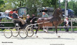 Zes overwinningen op eerste promotie concours 2020 in Tolbert