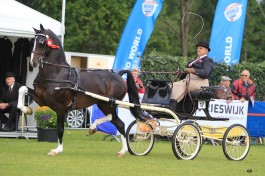 Geweldige dag voor stal Huckriede op Bolhoed concours in Houten