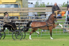 Mooi successen in Engeland