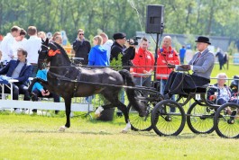 Prachtig debuut voor Tom Folmer