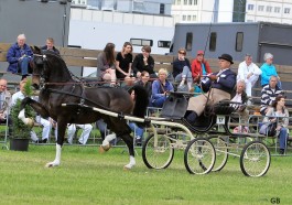 2 keer winst in Oldebroek