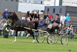 Olympic Dreams en ECW Imondro pakken 10 competitiepunten