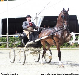 Vijf overwinningen op bijzonder fraai concours Exloo