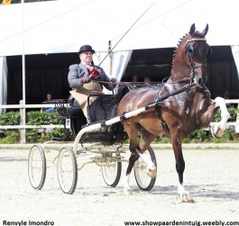 Vijf overwinningen op bijzonder fraai concours Exloo