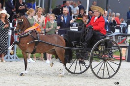 Brookfield Olympic Dreams kampioen