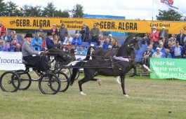 Young Rider competities gewonnen door leerlingen van stal Huckri