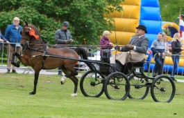 4 x oranje op Koningsdag in De Bilt