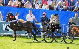 Buitenseizoen afgesloten met 4 overwinningen