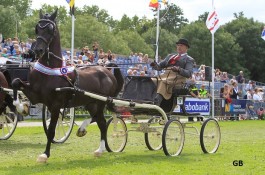 Bijzonder succesvol op prachtige CH Opmeer met kampioenschap voo