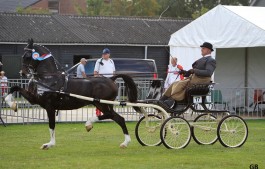 Pech met hackney's in Buitenpost, Imondro reserve kampioen