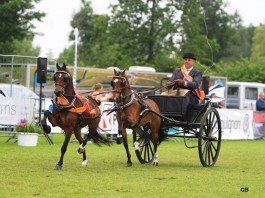 Top dag in Dokkum bekroond met kampioenschap