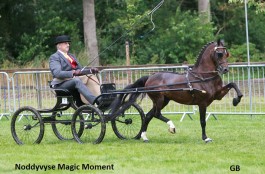 4 keer winst in Hellendoorn