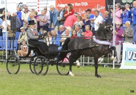 Kevin wint opnieuw de Young Riders competitie