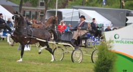 Bommelsteijn’s Hubert wint competitie