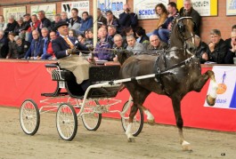 Zeven keer winst op Twentse Tuigpaarden Dag