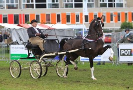 Bommelsteyn’s Hubert weer kampioen en ECW It’s Me competitiewinn