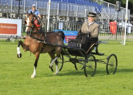 2 overwinningen in Vlijmen