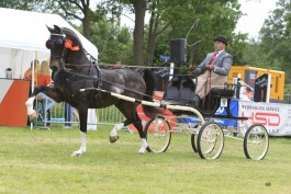 Dubbelslag voor Imondro in Rouveen