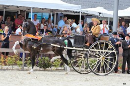 Twee keer kampioen in één weekend