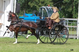 5 x winst op jubileum concours Drogeham