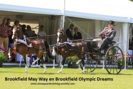 Jaaroverzicht hackney’s 2019
