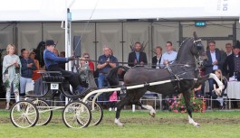 Kevin en Imondro winnen de Frank Roest (grote) prijs van Drogeha