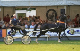 Jaaroverzicht 2018: tuigpaarden