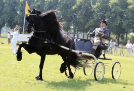 7 keer op kop op laatste Dag van het Aangespannen Paard