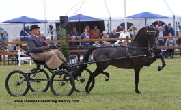 3 keer winst op Hippisch Holtrijk Grolloo