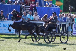 Hot Chocolade wint competitie, Hubert reserve kampioen