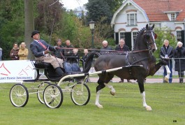 Hubert mag weer naar Den Bosch